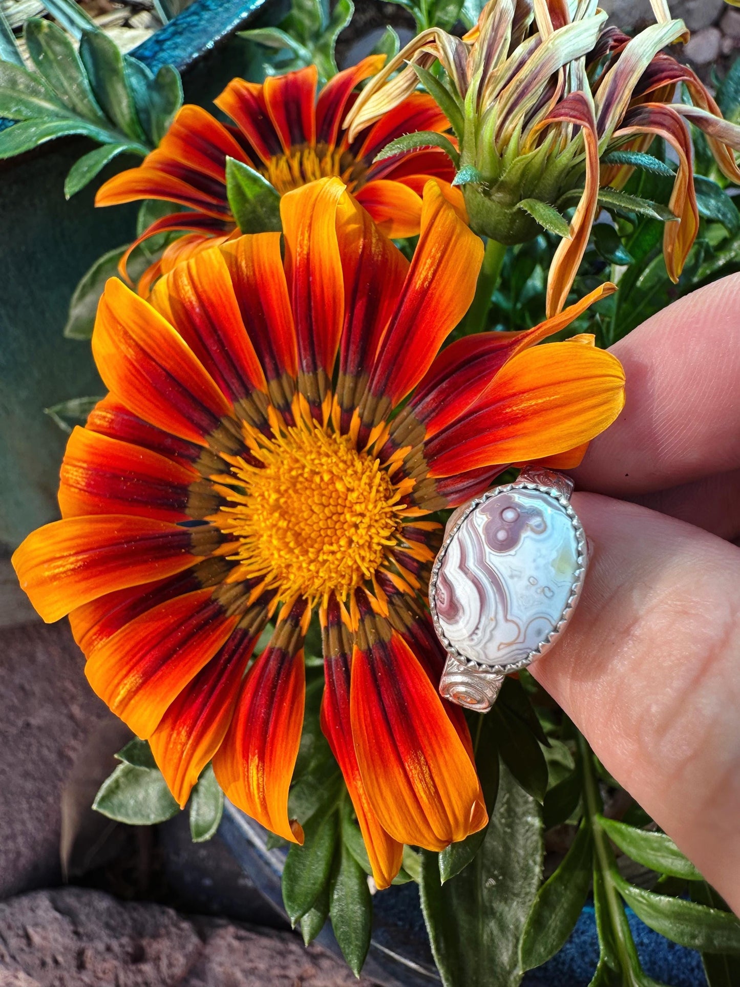 Dainty Small Crazy Lace Agate Sterling Silver Statement Ring